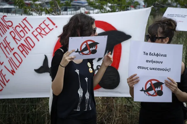 Διαμαρτυρία για τα δελφίνια