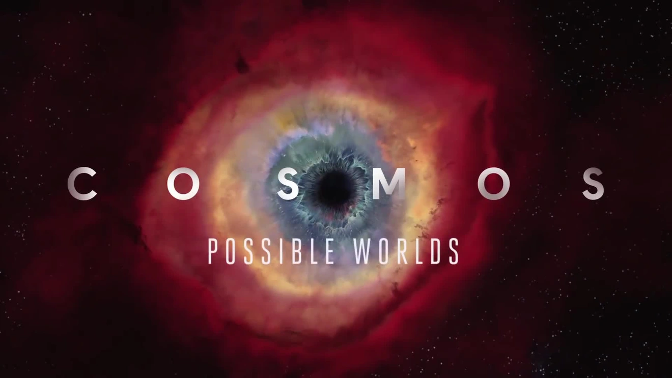 COSMOS A Spacetime Odyssea