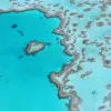 koraliogennis-ufalos